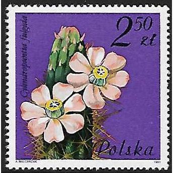 Mi 2787 (**): 2 Zl. 50 multicoloured Succulent Plants: Cylindropuntia fulgida