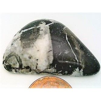 Fossil Stone Marble Freeform Gemstone Cabochon 251