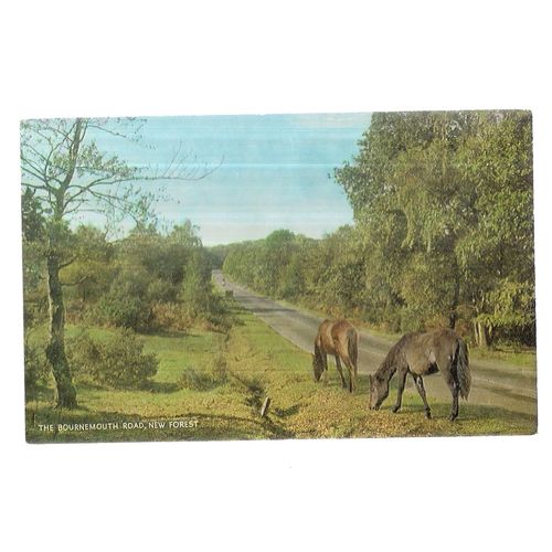 THE BOURNEMOUTH ROAD, NEW FOREST. unused vintage postcard by J. Salmon PONIES =
