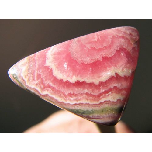 Rhodochrosite Cabochon: Flower Pattern in Rose, White, Brown; 28 cts; Argentina