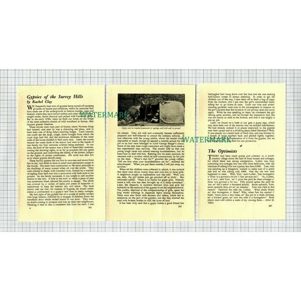 (6553) Gypsies Of The Surrey Hills Rachel Clay - 1952 SMALL Article