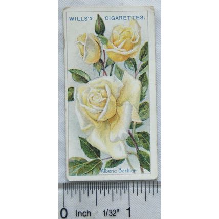 1914 Wills Roses 2nd Series No. 57 Alberic Barbier