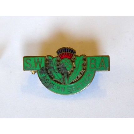 SWBA Scottish Women's Bowling Association Eastern Section enamel badge brooch