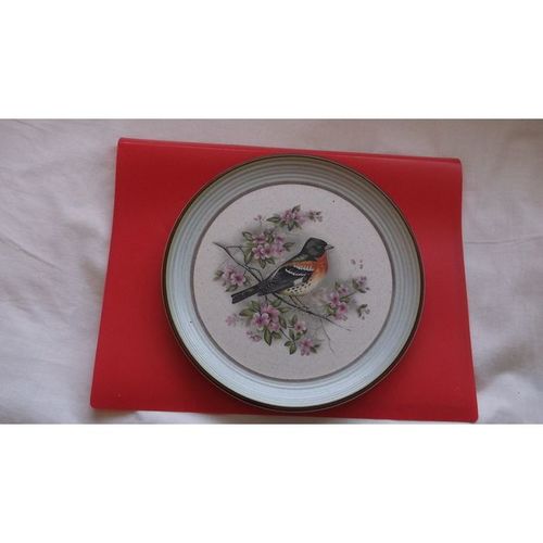 PURBECK POTTERY / DECORATIVE PLATE DEPICTING BIRD (25/01)