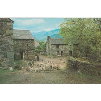Shell & Loch Duich Vintage Aerial Birds Eye Real Photo Postcard
