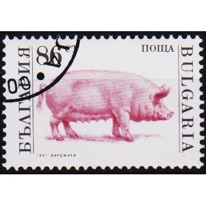 Bulgaria. 1991 86s S.G.3733 Used