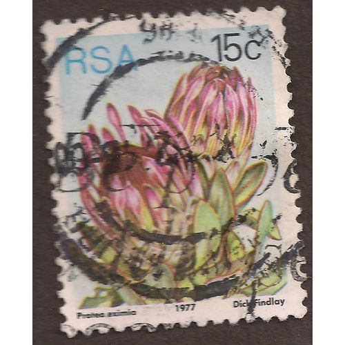 SOUTH AFRICA, FLOWER, Protea Eximia, blue 1977, 15c