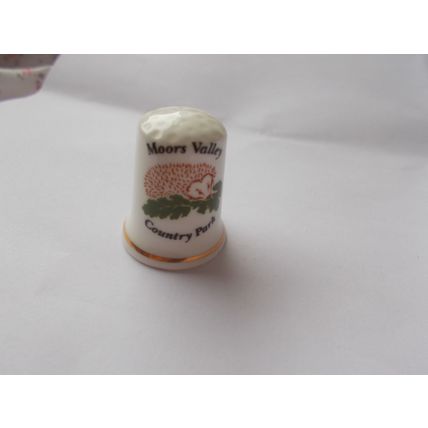 MOORS VALLEY DORSET / THIMBLE (16/10) #