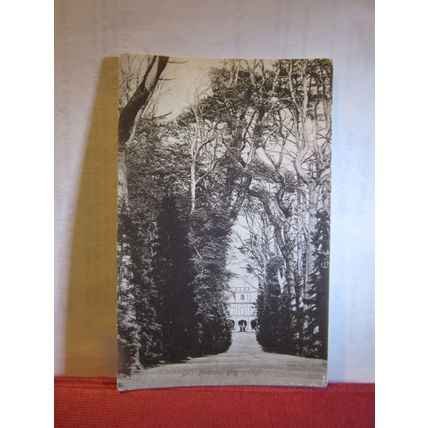 THE AVENUE, GUY'S CLIFFE, near WARWICK . unused vintage postcard =