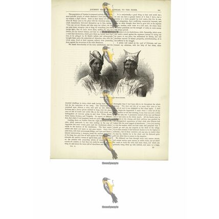 Bambaras & Their Head-Dresses, Mali, Book Illustration (Print), c1880