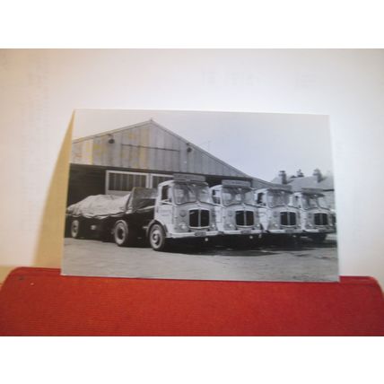 4 vintage lorries photograph. TROWBRIDGE TRANSPORT OF SHEFFIELD. =