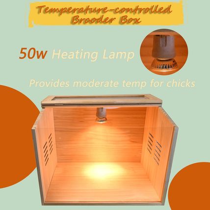 Brooder Box for Chicks, 3-8 Chicken Heater, Poultry Brooder with Heaters for Bab