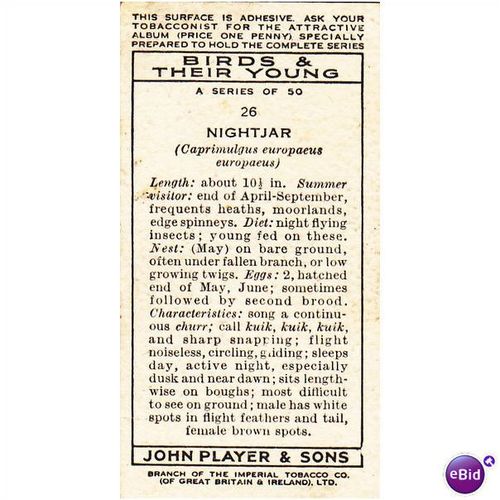 Players Birds & Their Young Card No. 26 Nightjar