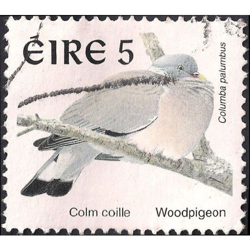 EIRE, BIRDS, Wood pigeon, white 1998, 5c