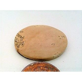 Picture Jasper Freeform Gemstone Cabochon 219