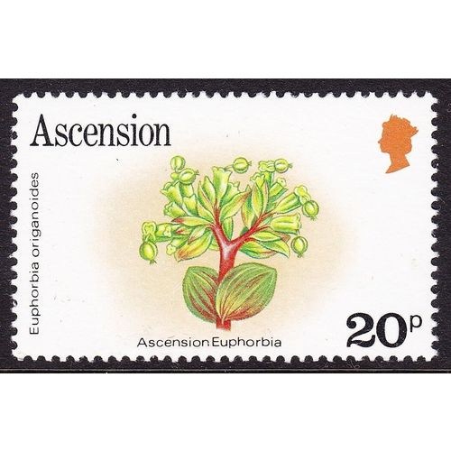 Ascension 1981 Flowers 20p Euphorbia Unmounted Mint NHM SG 291A postage stamp