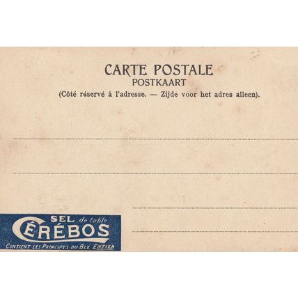 Sel De Table Cerebos Antique Spanish Salt Advertising Postcard