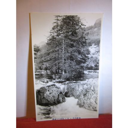 FIR TREE ISLAND, BETWS-Y-COED, WALES unused 1950s postcard by Judges =