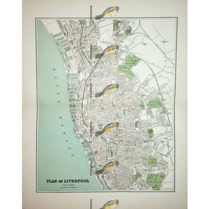 Liverpool, England, Map (Plan), Book Illustration, 1895