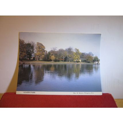 LEAZES PARK, NEWCASTLE unused postcard Wingrove W.I. Tyne & Wear =