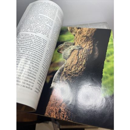 National Geographic Magazine April 1995 The New Saigon Vintage Collectable b