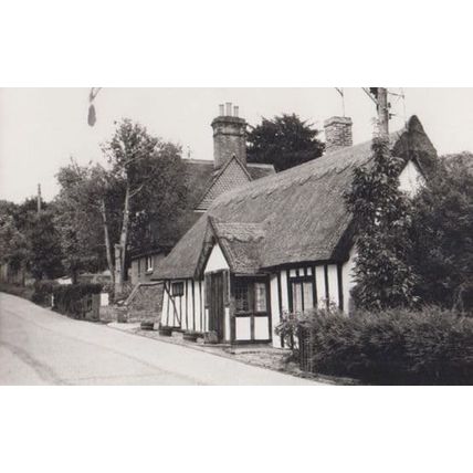 Higham Suffolk Thatched Cottage Village Postcard