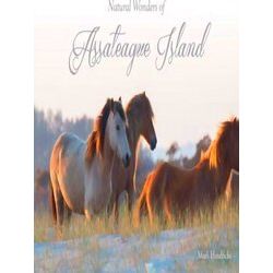 Natural Wonders of Assateague Island