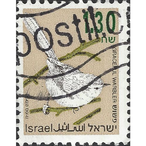 ISRAEL, BIRD, Graceful prinia, Prinia gracilis, brown 1954, 1.30sh