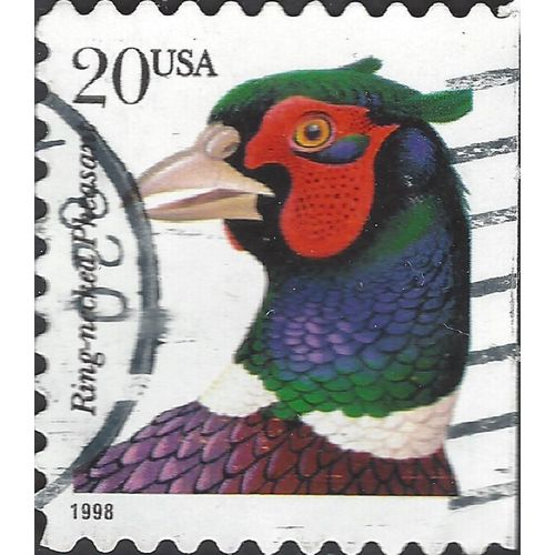 USA, BIRD, Ring-necked Pheasant, Phasianus colchicus, white 1998, 20c