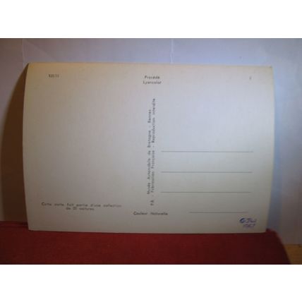 1902 TONNEAU DE DION-BOUTON veteran car unused French postcard dated 1967 #