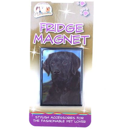 Black Labrador 3D fridge magnet Great Christmas stocking filler