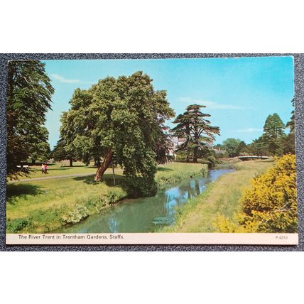 Vintage Postcard The River Trent in Trentham Gardens, Staffs Posted 1975