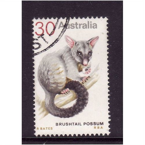 AUSTRALIA 1974 SG 563 30c BUSH TAILED POSSUM FINE USED#1