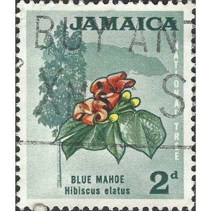 JAMAICA, FLOWER, Blue Mahoe, Hibiscus elatus, grey 1964, 2d