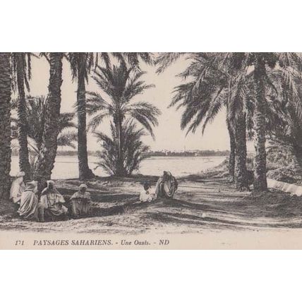 Sahara Desert Sand Oasis Antique Fashion Robes Postcard
