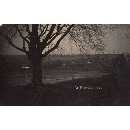Great Bedwyn Sunset Dusk Falling in Woods Antique Wiltshire Real Photo Postcard
