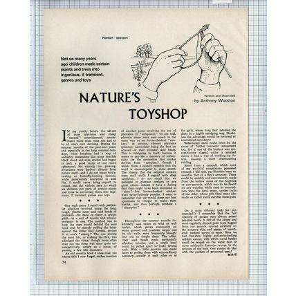 (5849) Nature's Toyshop Article By Anthony Wootton - 1972