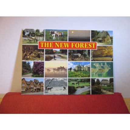multiview, THE NEW FOREST unused postcard by J. Salmon 16 views =