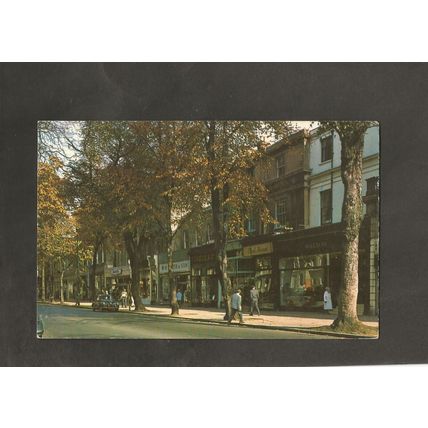Postcard Gloucestershire Cheltenham The Promenade