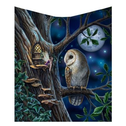 'Fairy Tales' By Lisa Parker - Fairies Owl Magical Throw Blanket