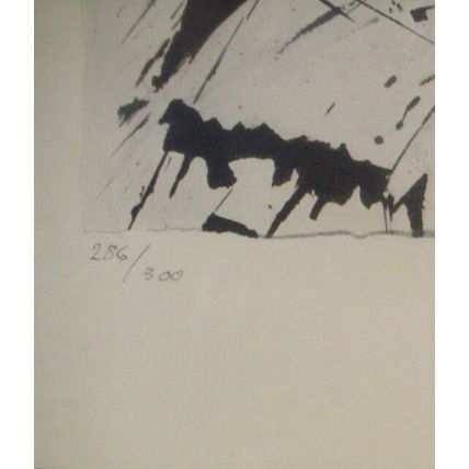 Art - Salvador Dali Lithograph #286/300 - Signed - 1970