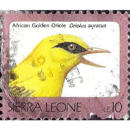 SIERRA LEONE, BIRD, African Golden Oriole, pink 1992, 10leone