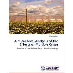 A Micro-Level Analysis of the Effects of Multiple Crises