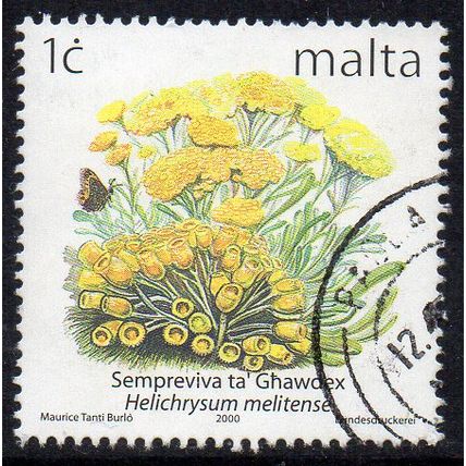 Malta 2000 Flowers - Helichrysum melitense 1c Used