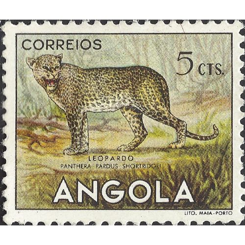 ANGOLA, CAT, Leopard, Panthera pardus, yellow 1953, 5c