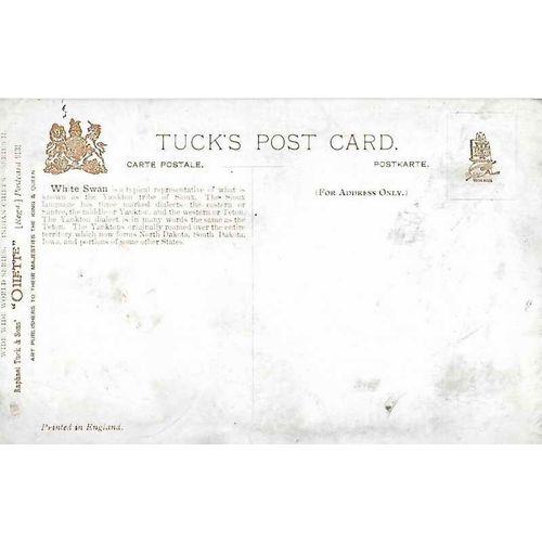North American Indian Post Card, Chief White Swan, MINT circa 1910 TUCK 9131