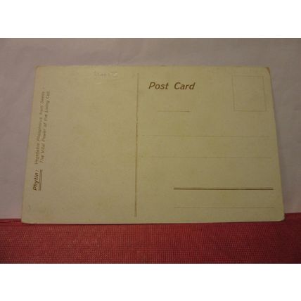 RHAELIC RAILWAY, SWITZERLAND . unused vintage postcard /