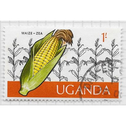 UGANDA 1975 UGANDAN CROPS MAIZE CORN COB FRUIT VEGETABLES FOOD 1/- USED