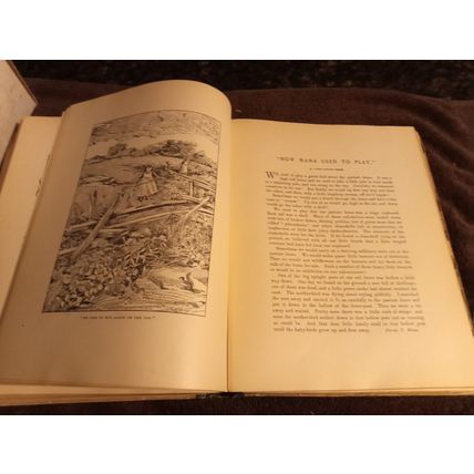 Old Vintage Original Little Men And Women Dewolfe Fiske & Co 1901