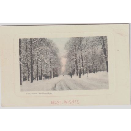 Winter Best Wishes The Avenue Southampton Hampshire Postcard (QHAM281)